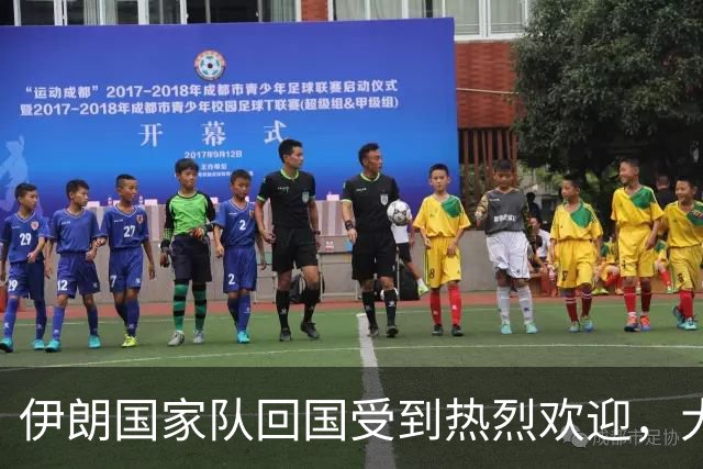 伊朗国家队回国受到热烈欢迎，大批球迷接机