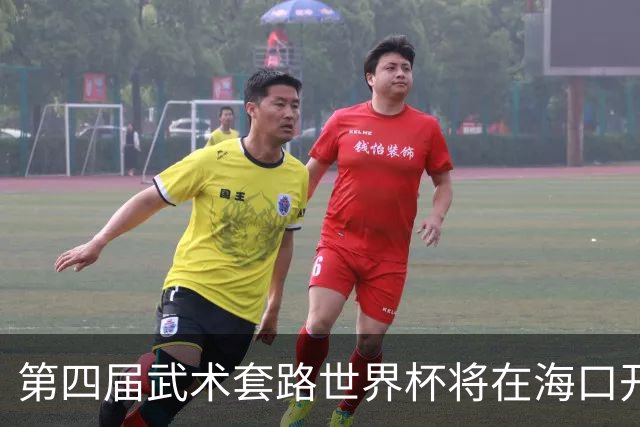 第四届武术套路世界杯将在海口开赛 30多个国家和地区人员参赛